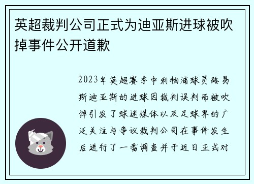 英超裁判公司正式为迪亚斯进球被吹掉事件公开道歉