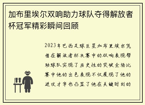 加布里埃尔双响助力球队夺得解放者杯冠军精彩瞬间回顾
